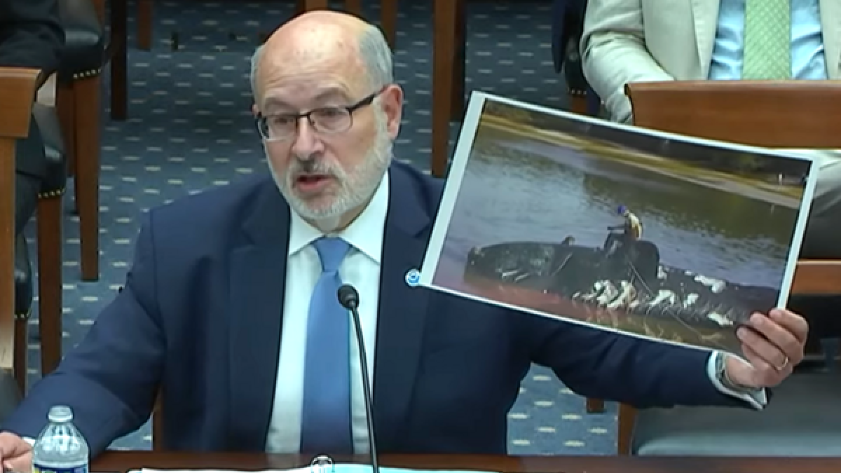 Congressman Gabe Amo