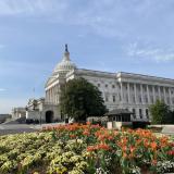 The U.S. Capitol in Washington, D.C., on Tuesday, April 9, 2024
