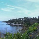 Newport Cliff Walk